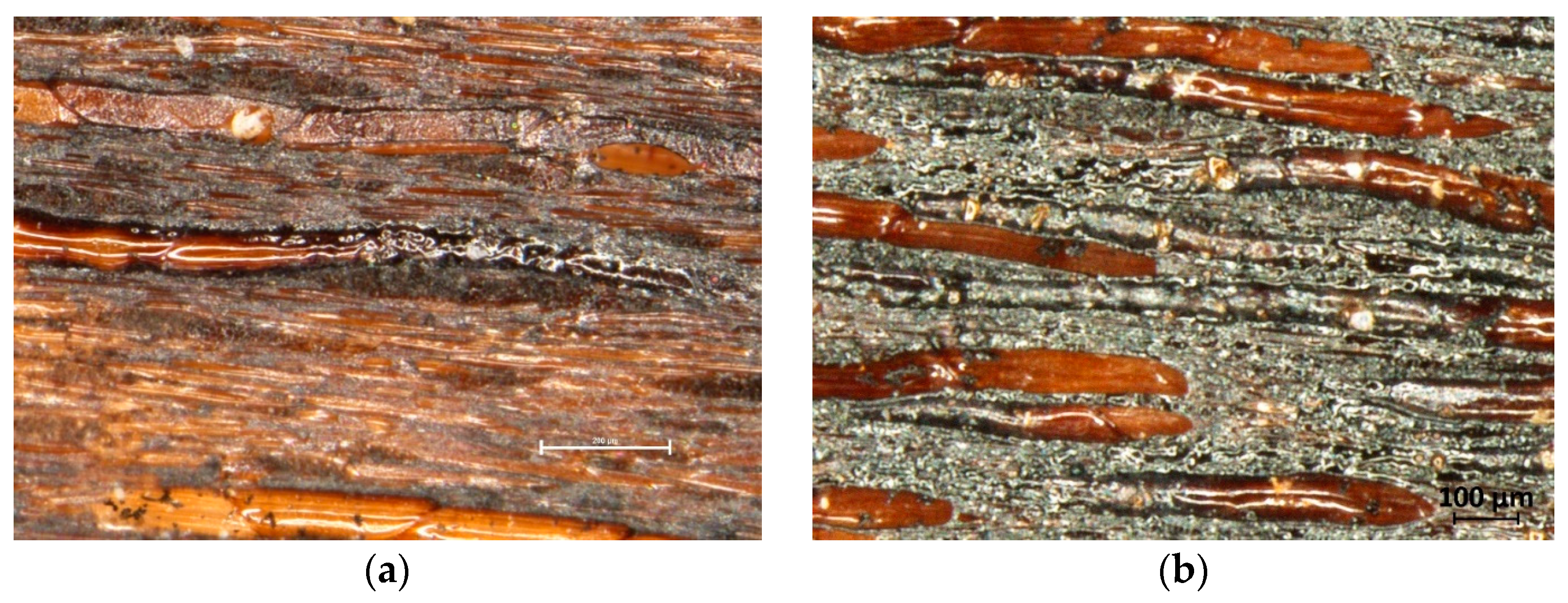 Forests 15 01767 g005a