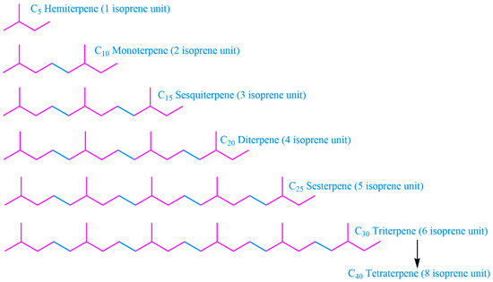 Forests 15 01782 g001