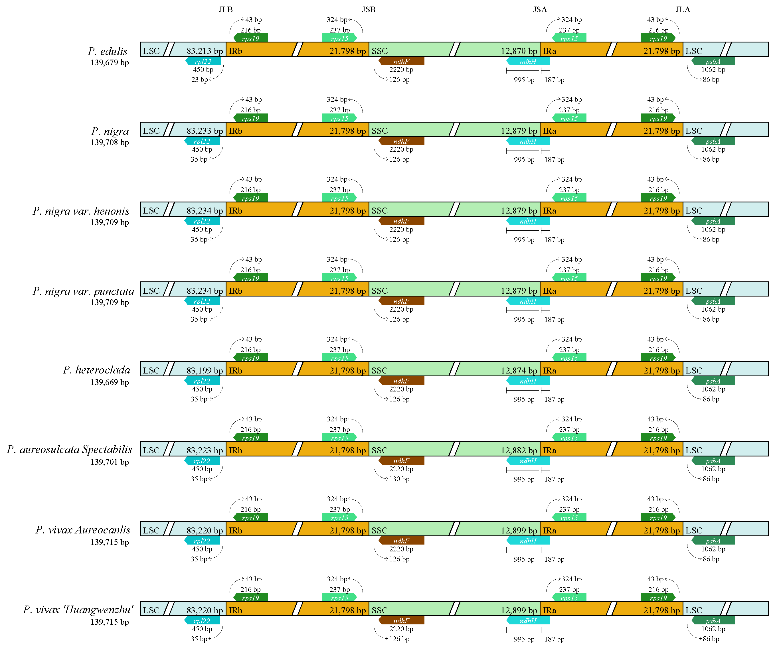 Forests 15 01785 g002 Forests 15 01785 g002