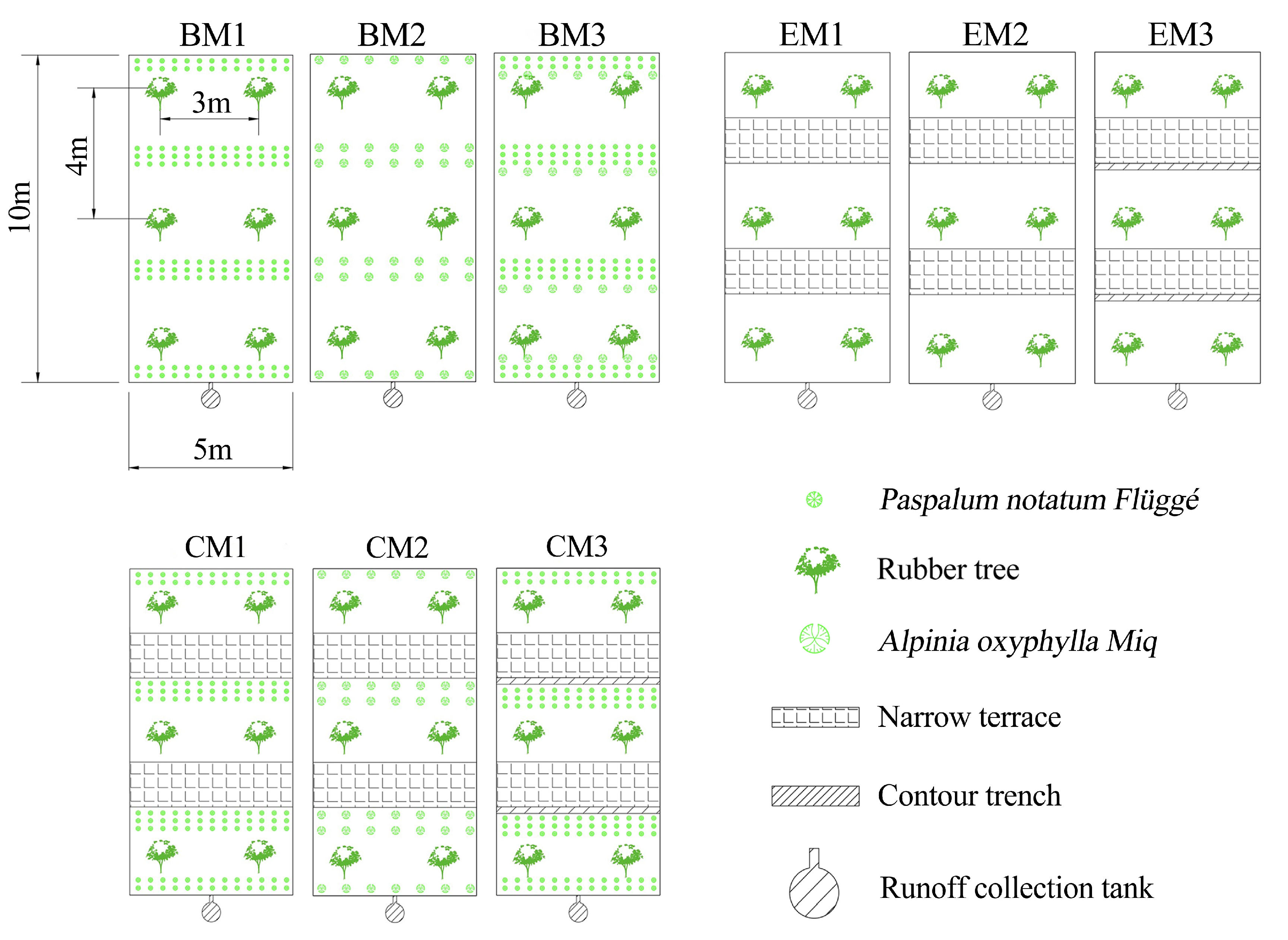Forests 15 01793 g003