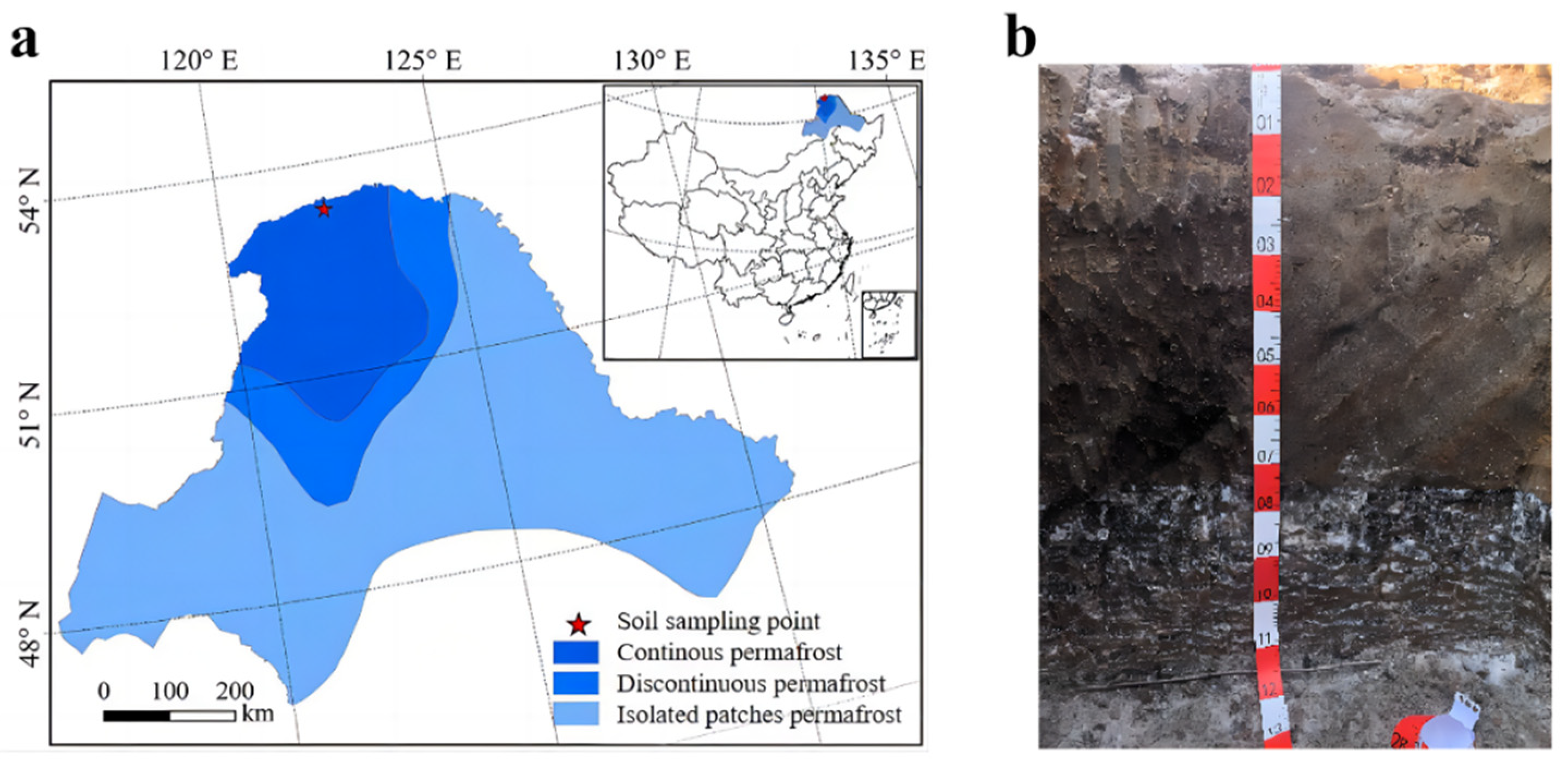 Forests 15 01797 g001