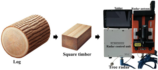 Forests 15 01800 g001