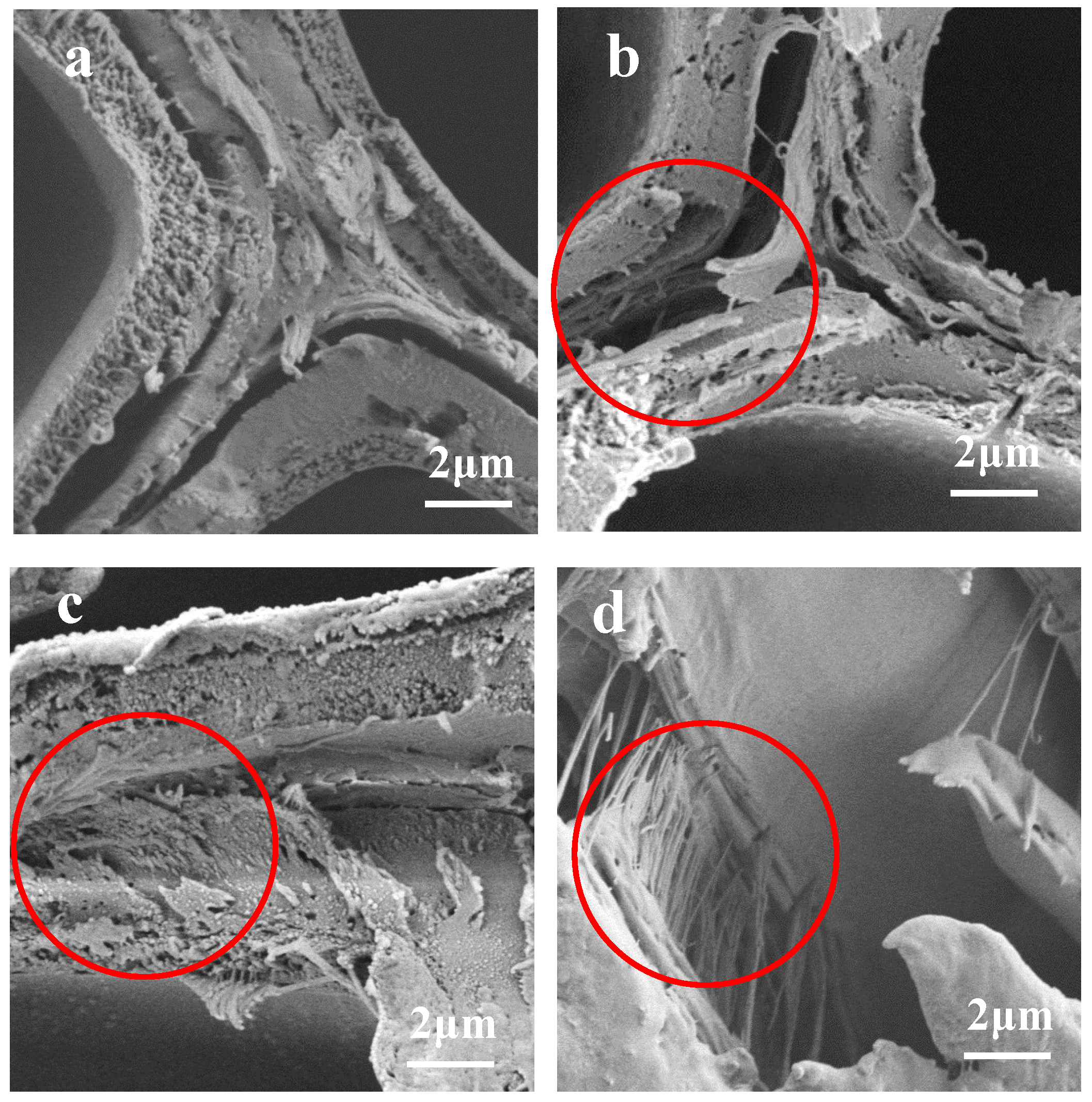 Forests 15 01837 g005