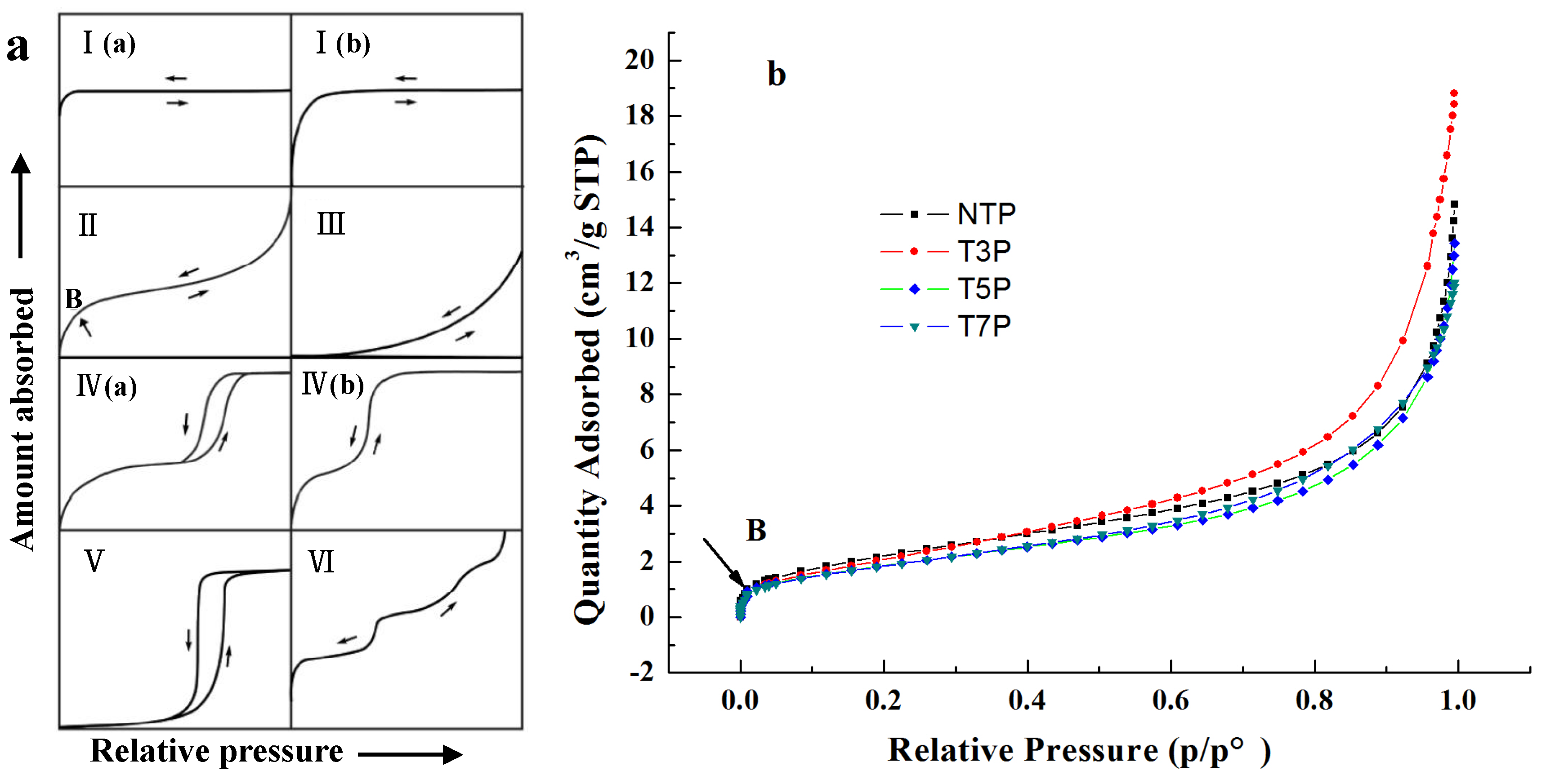 Forests 15 01837 g010