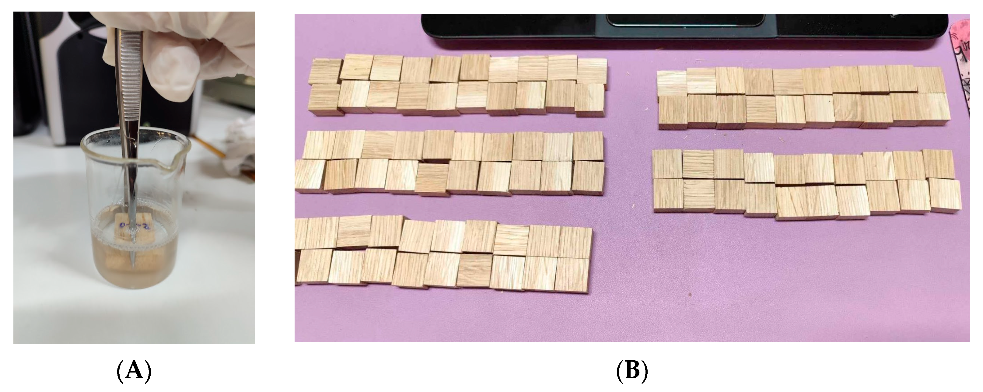 Forests 15 01842 g001