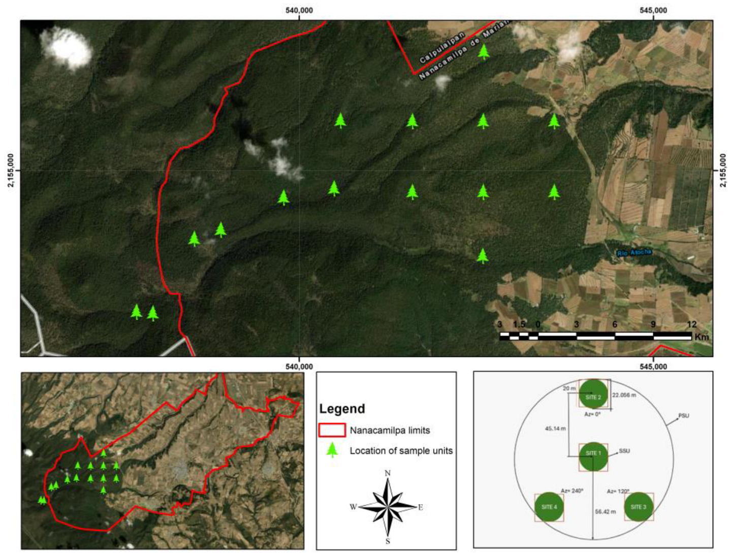 Forests 15 01847 g002