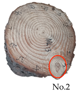 Forests 15 01858 i004