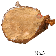 Forests 15 01858 i007