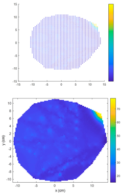 Forests 15 01858 i009