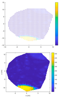 Forests 15 01858 i018