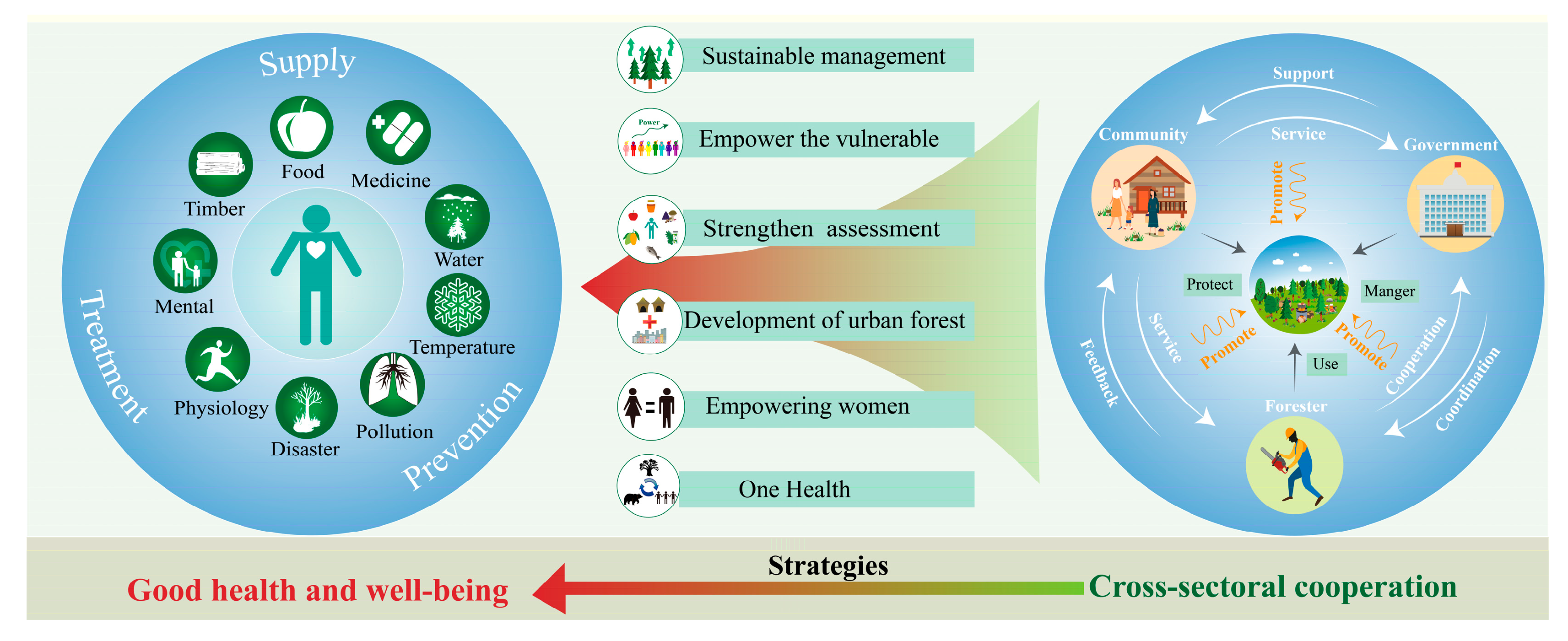 Forests 15 01872 g005