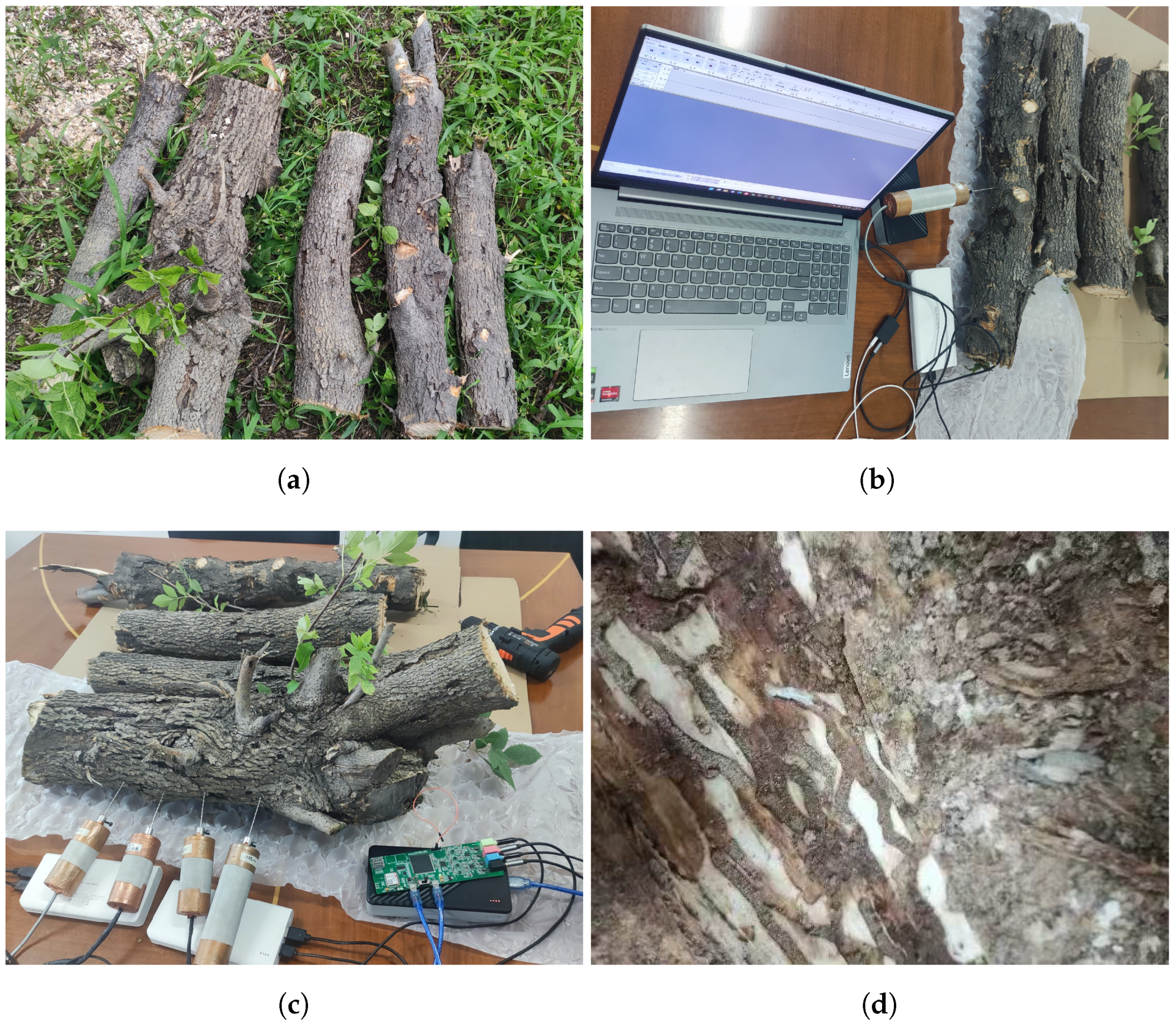 Forests 15 01875 g006