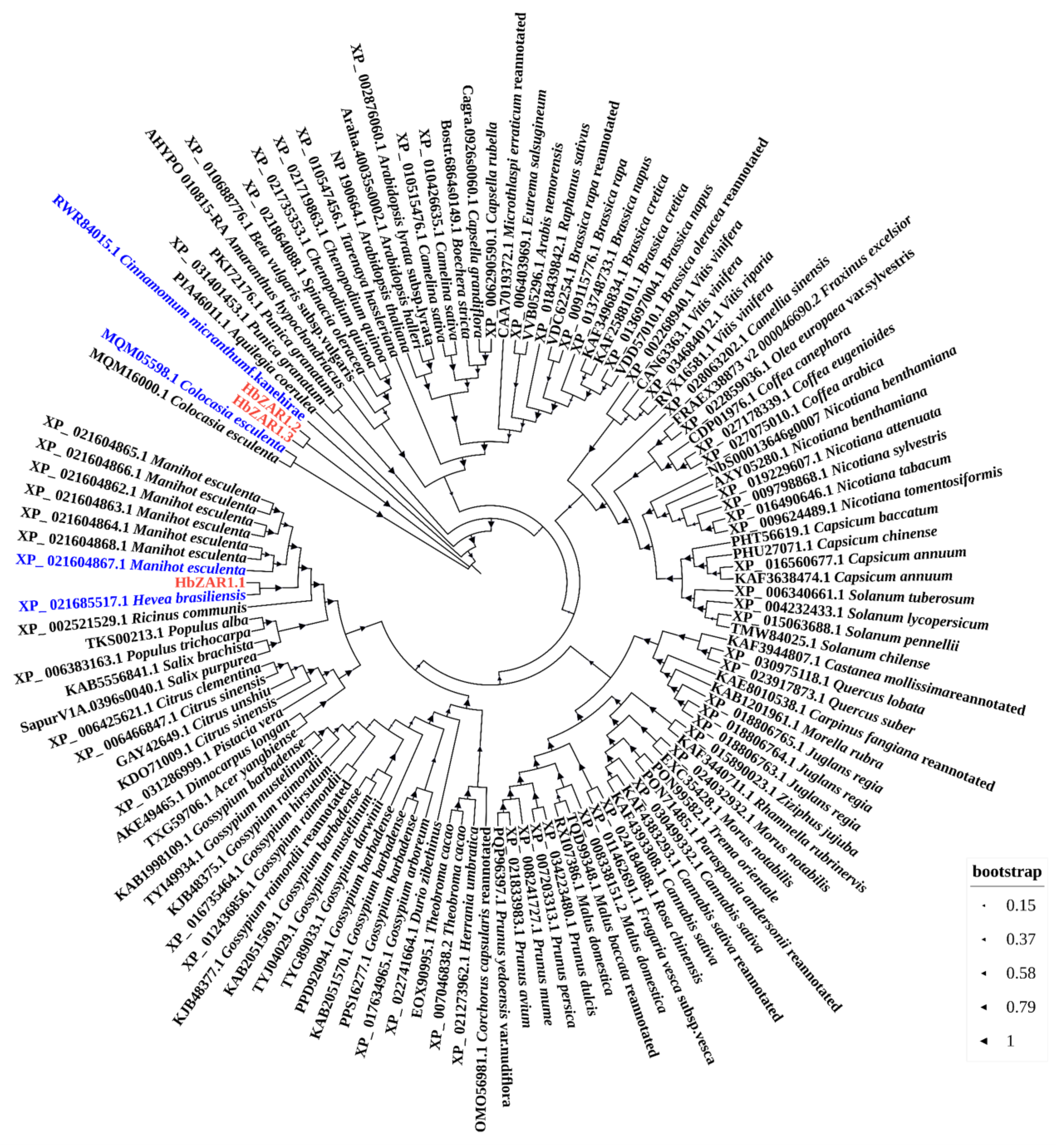 Forests 15 01891 g001