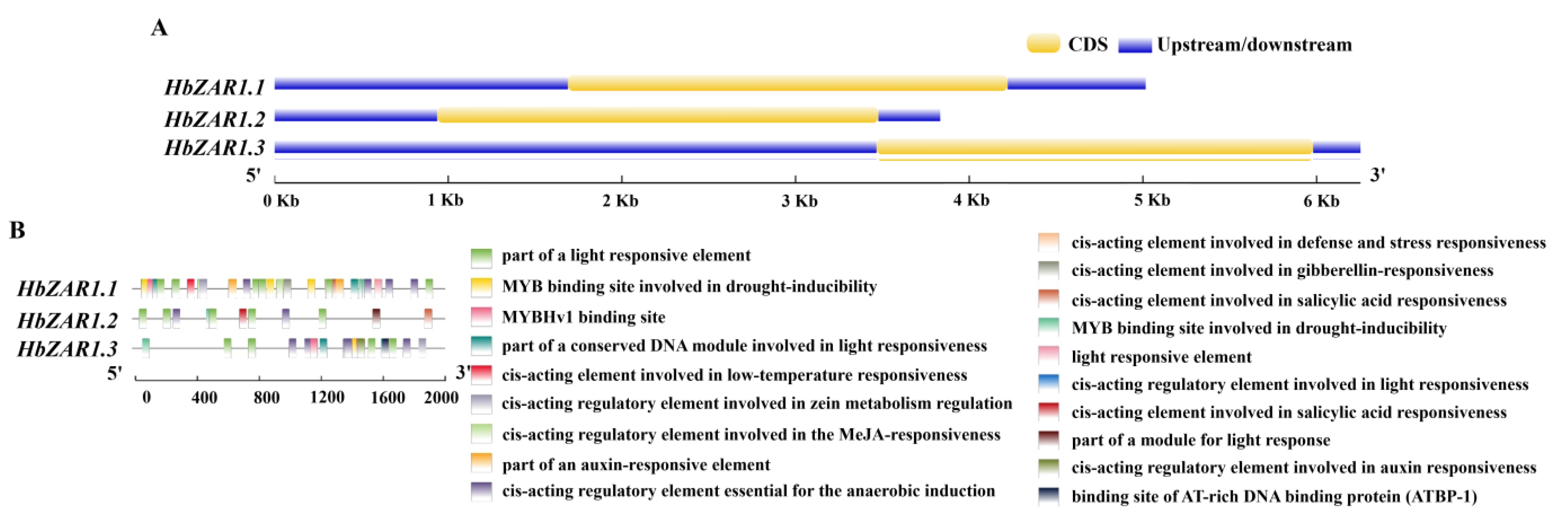 Forests 15 01891 g003