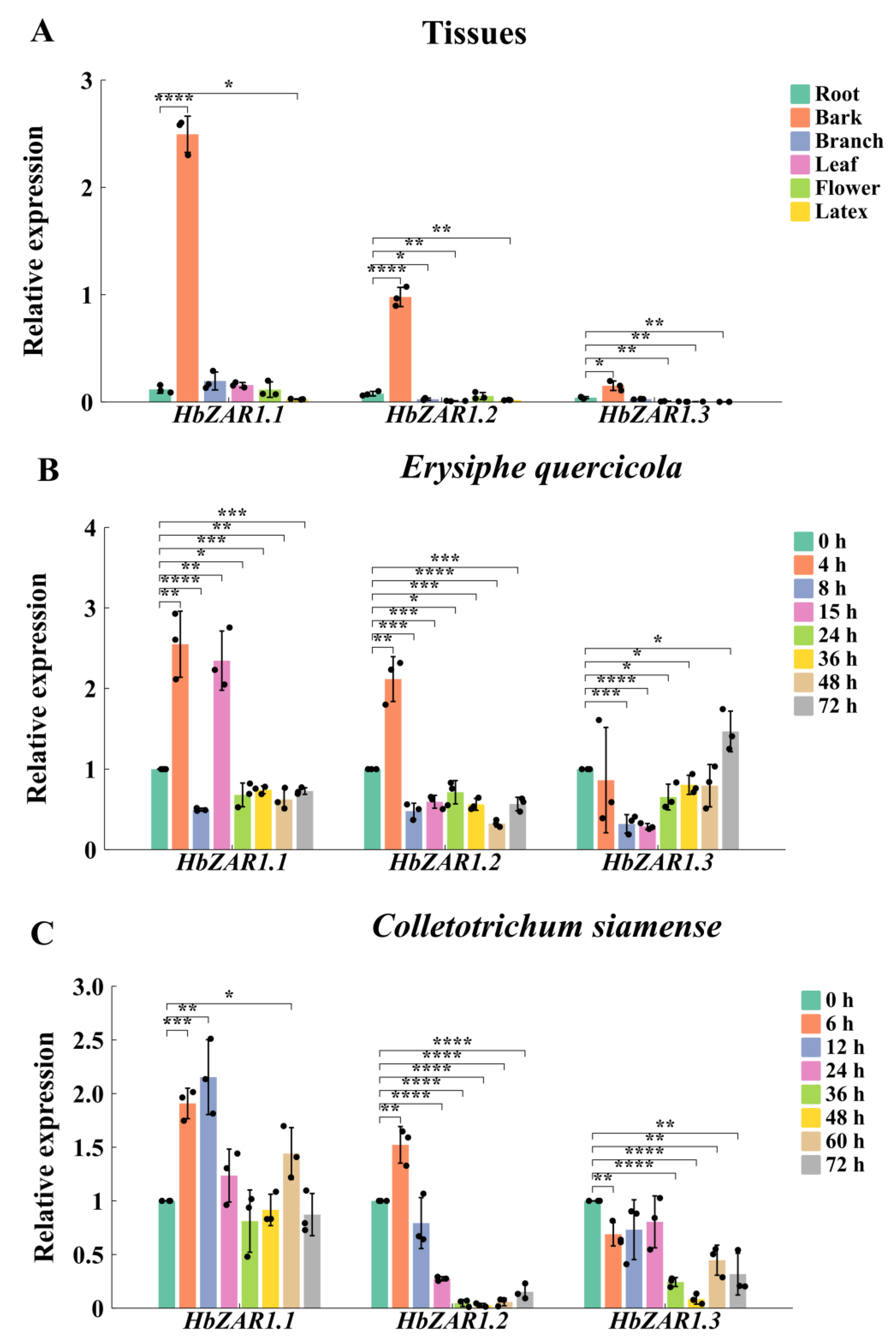 Forests 15 01891 g004