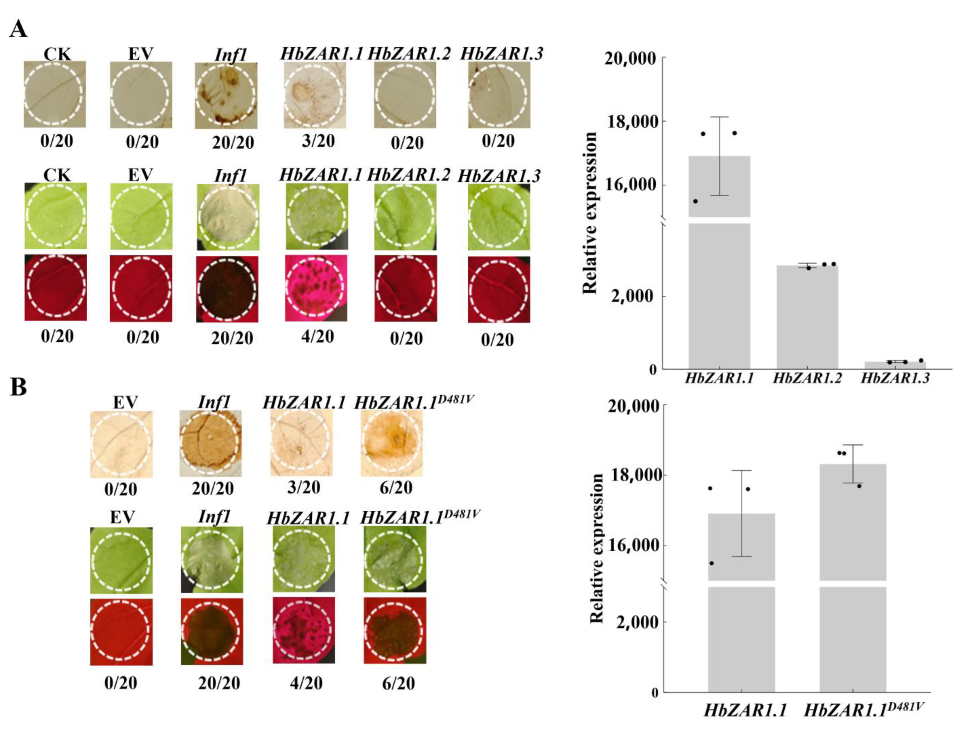 Forests 15 01891 g006