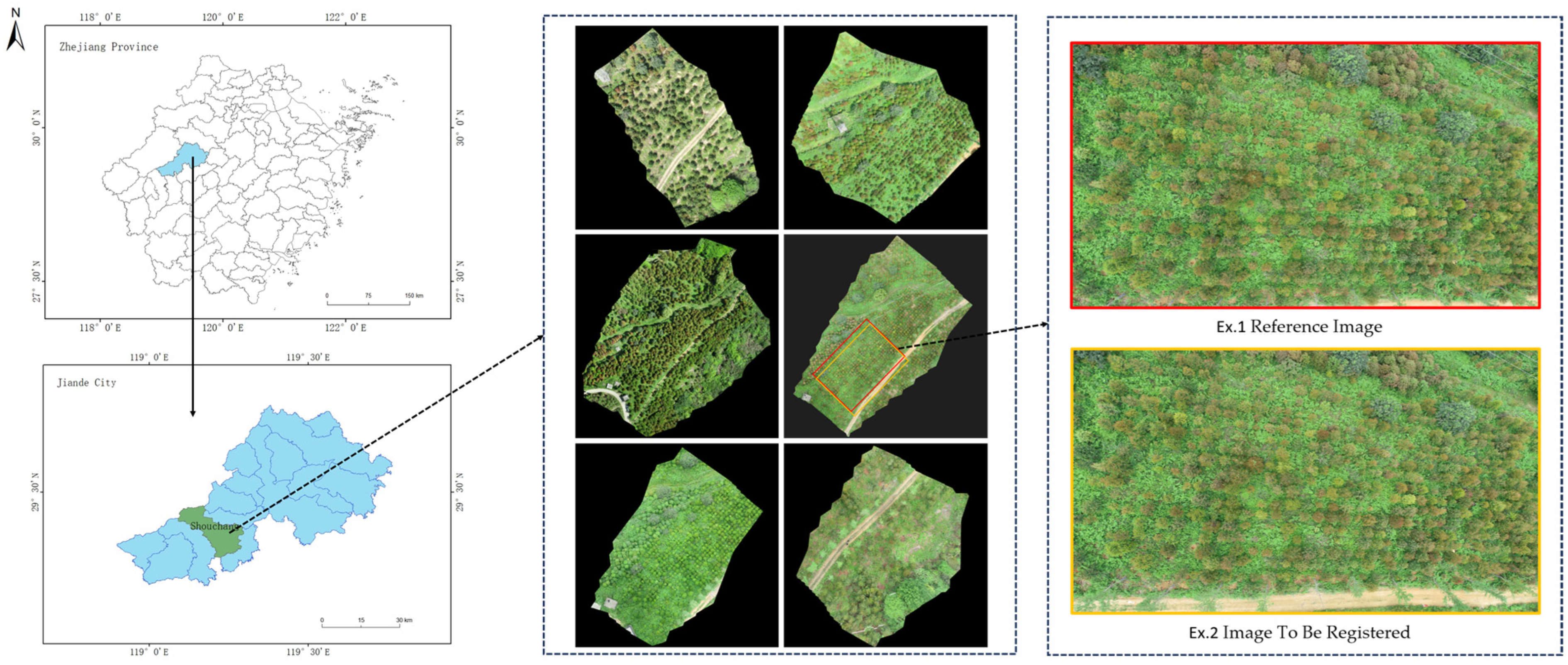 Forests 15 01908 g001