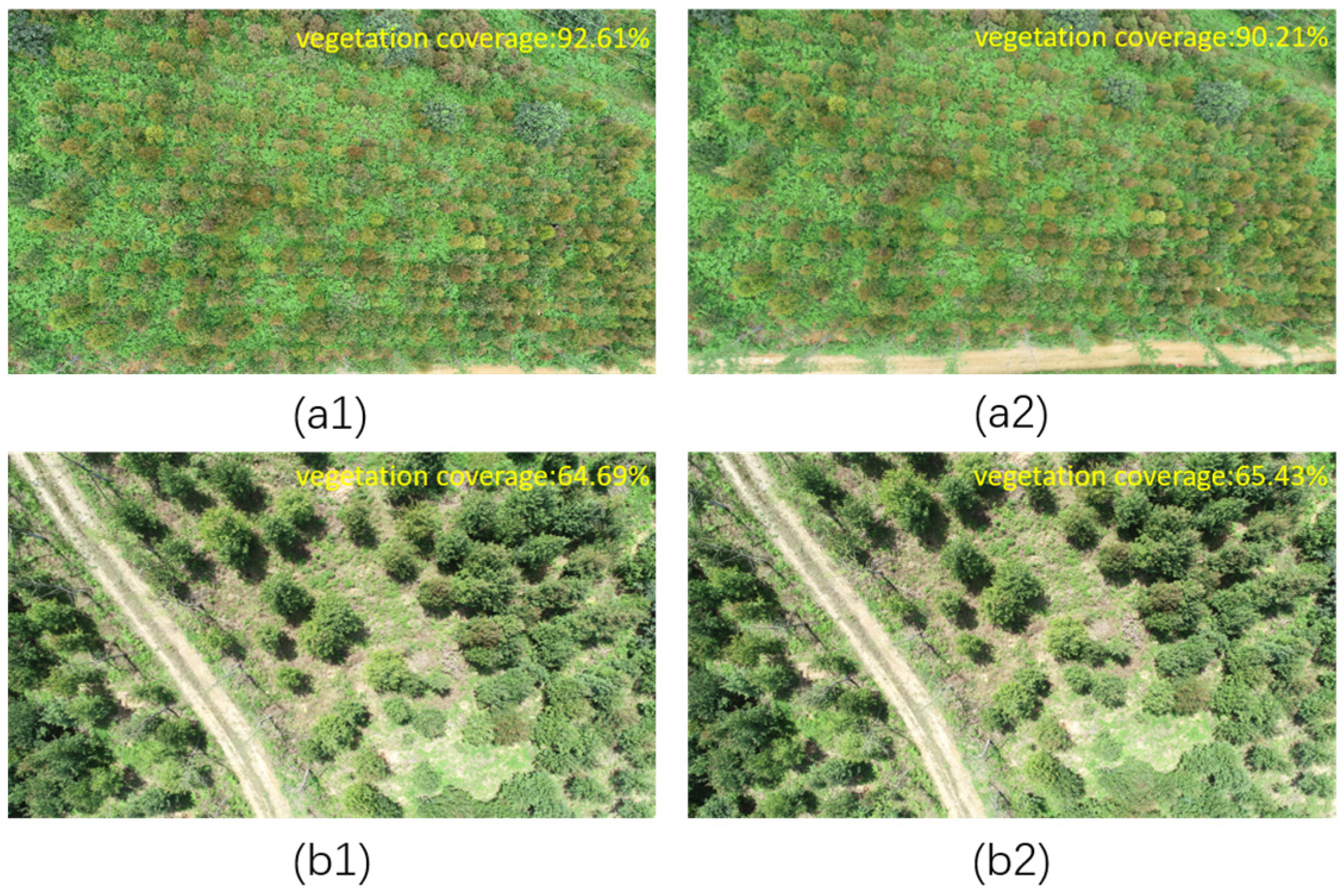 Forests 15 01908 g002