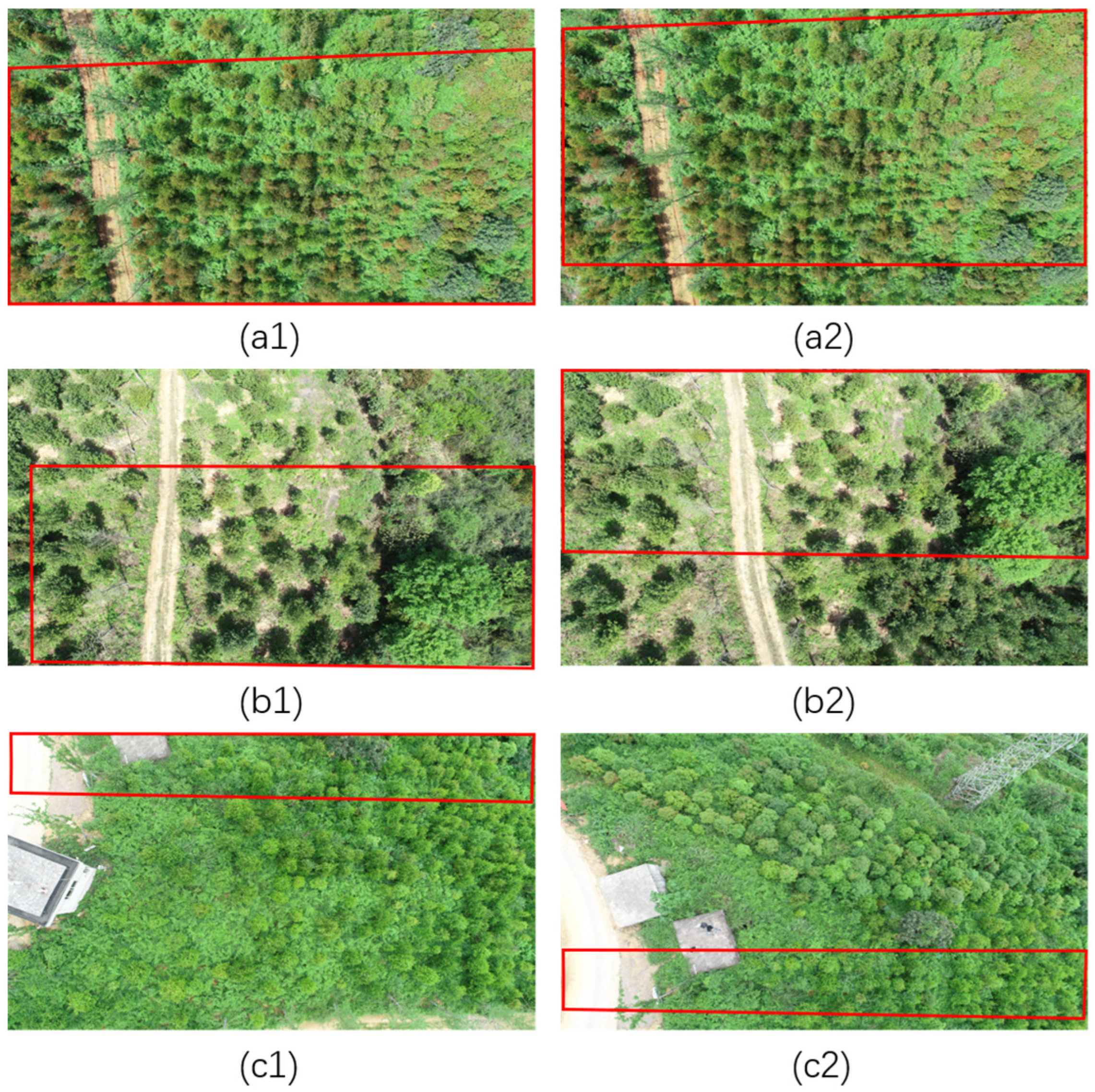 Forests 15 01908 g003