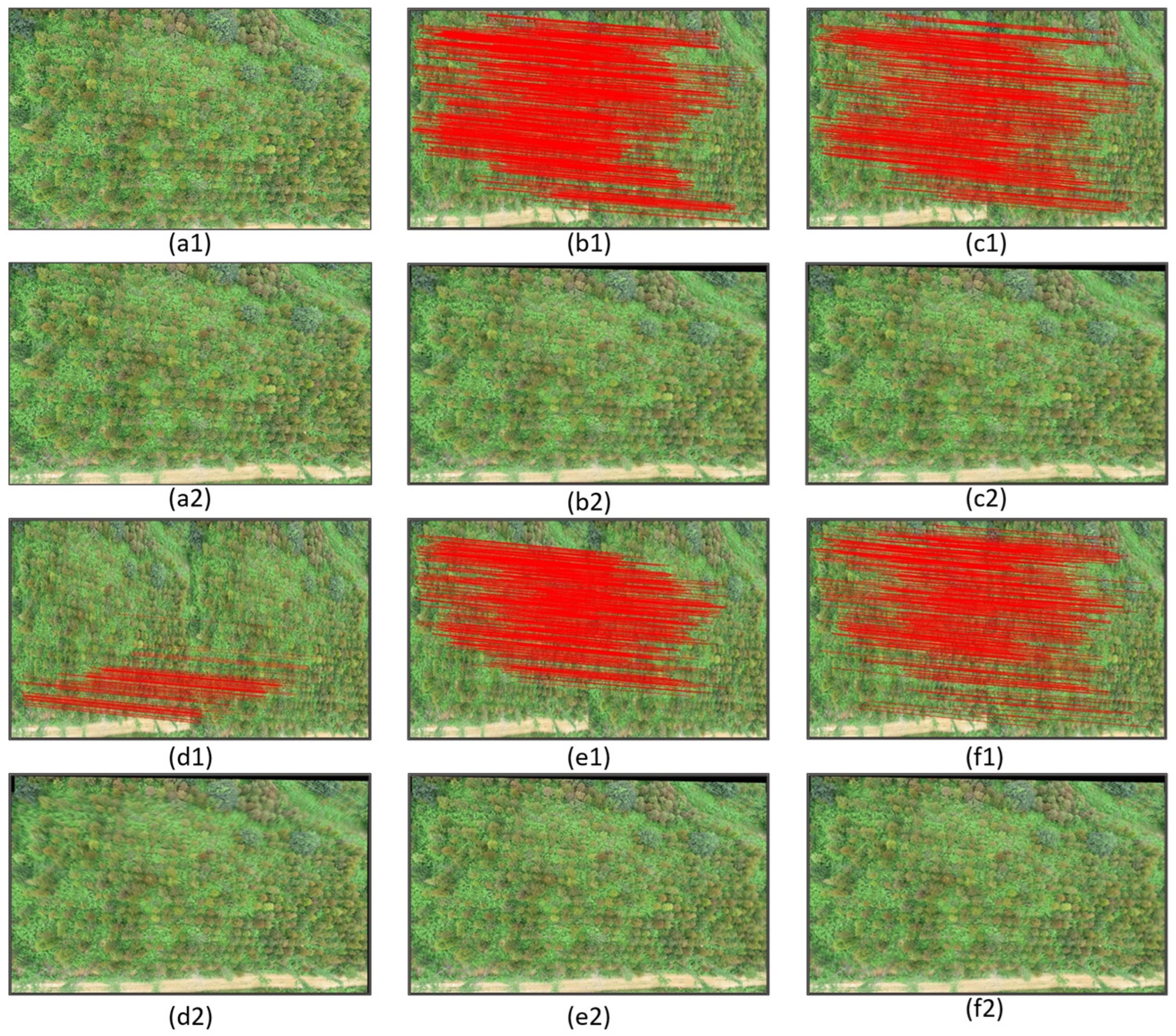Forests 15 01908 g008
