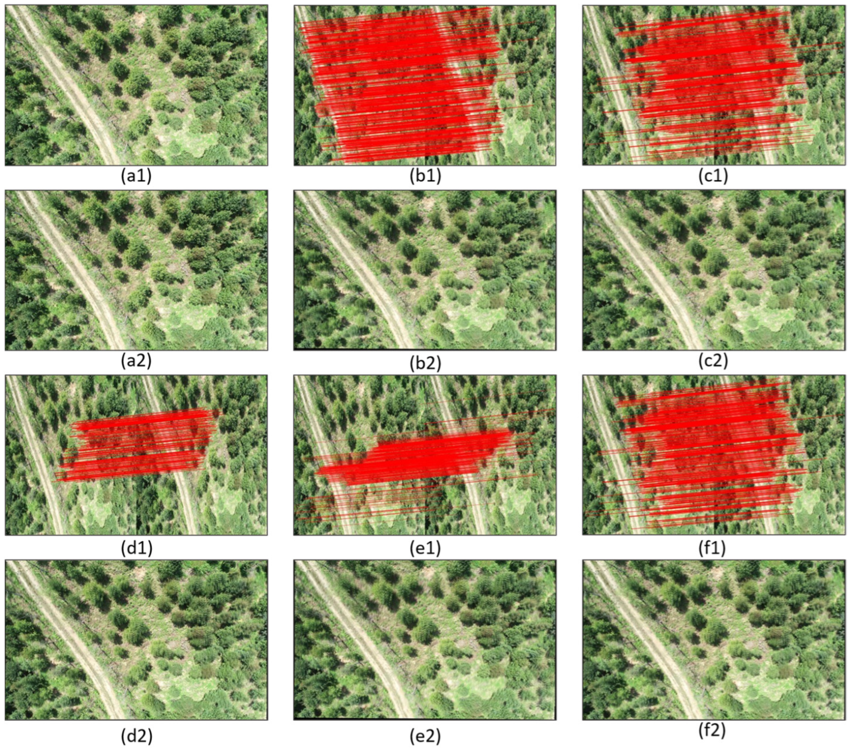 Forests 15 01908 g009