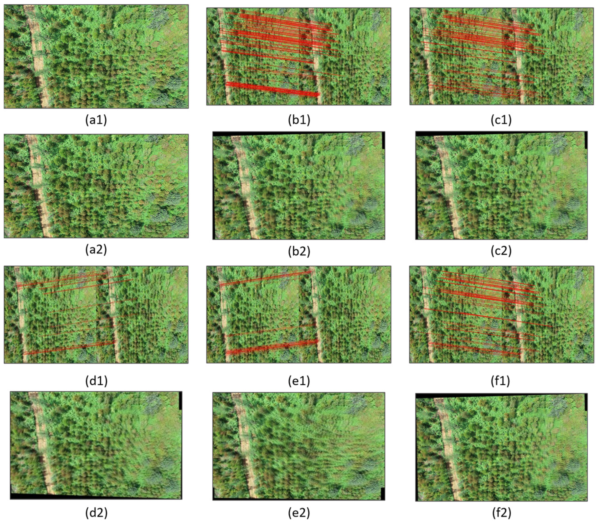 Forests 15 01908 g010