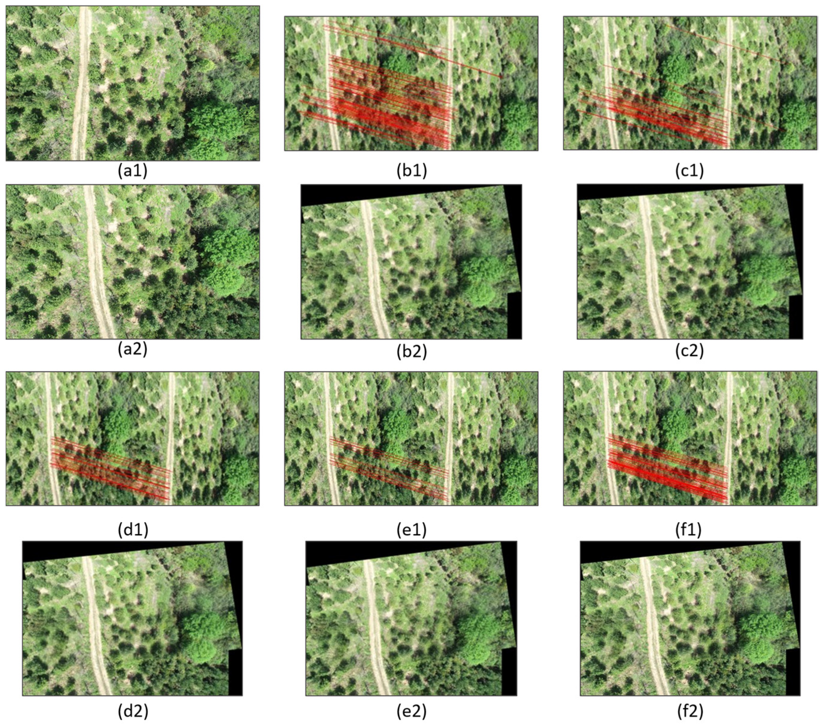 Forests 15 01908 g011