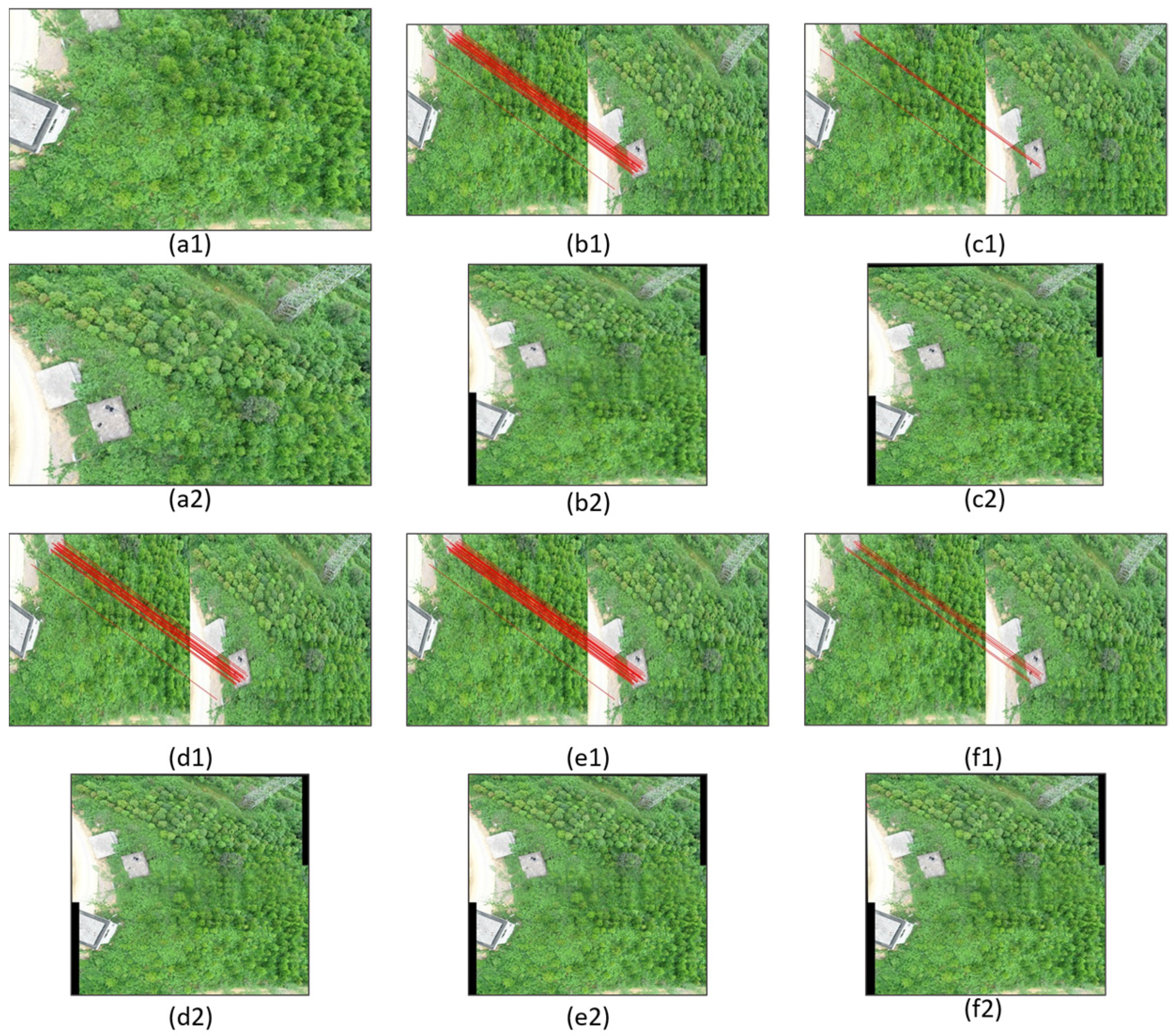 Forests 15 01908 g012