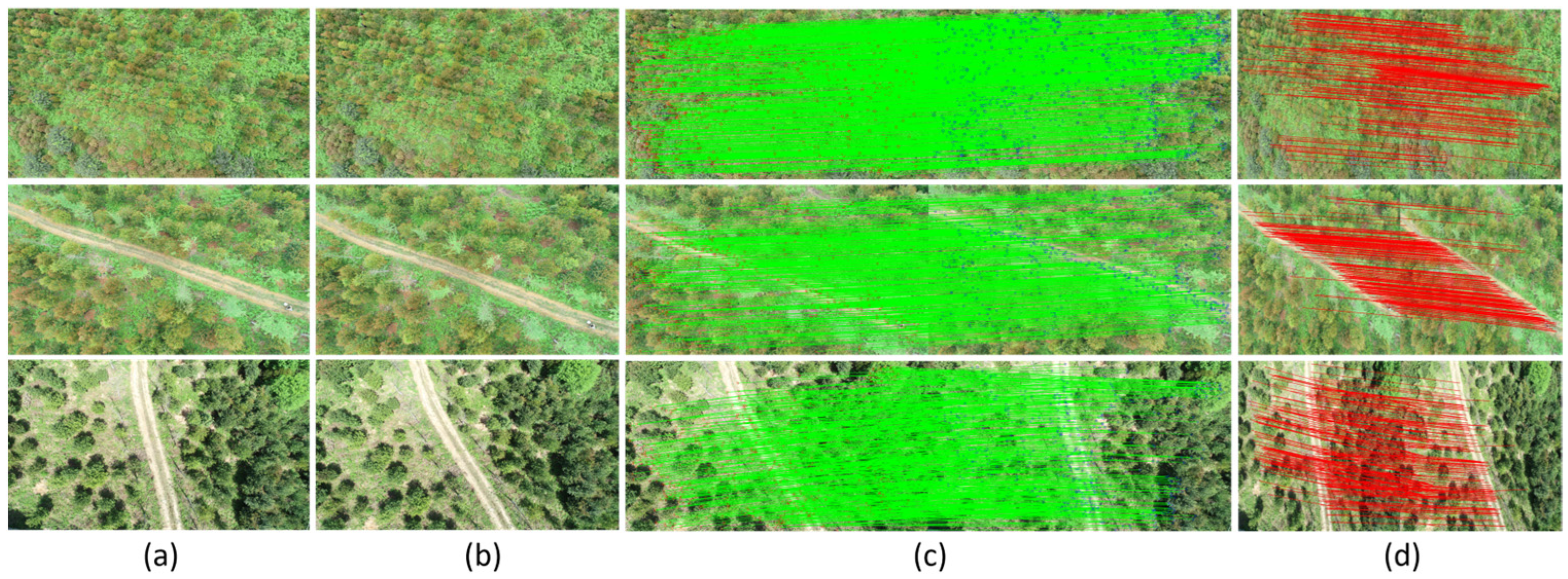 Forests 15 01908 g015