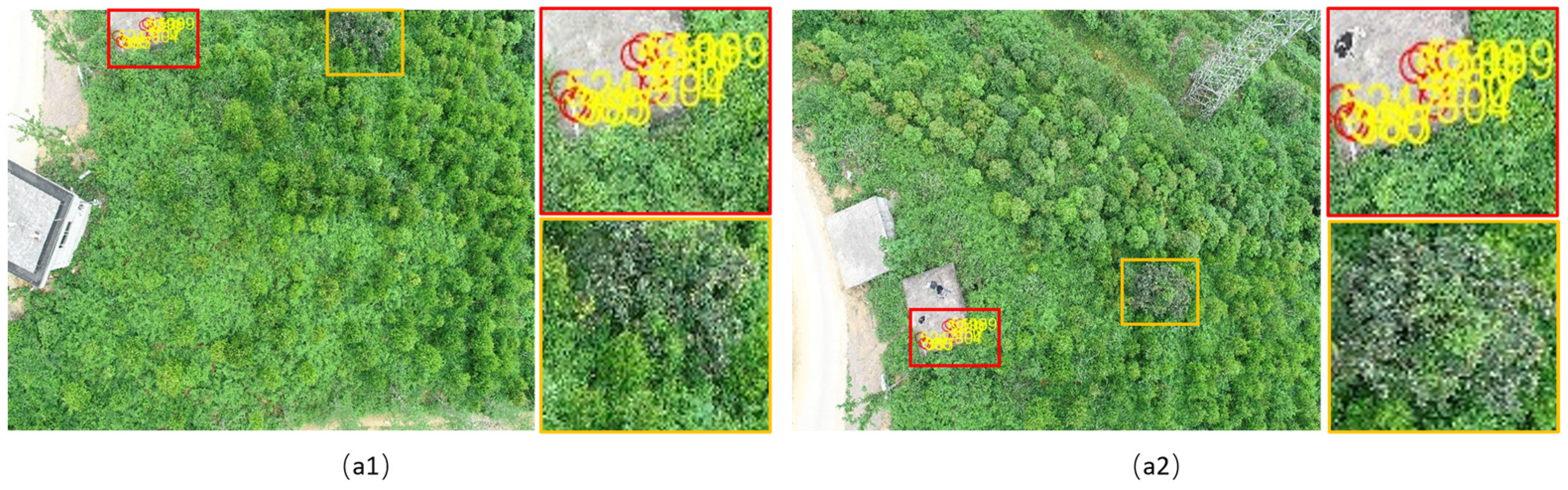 Forests 15 01908 g016