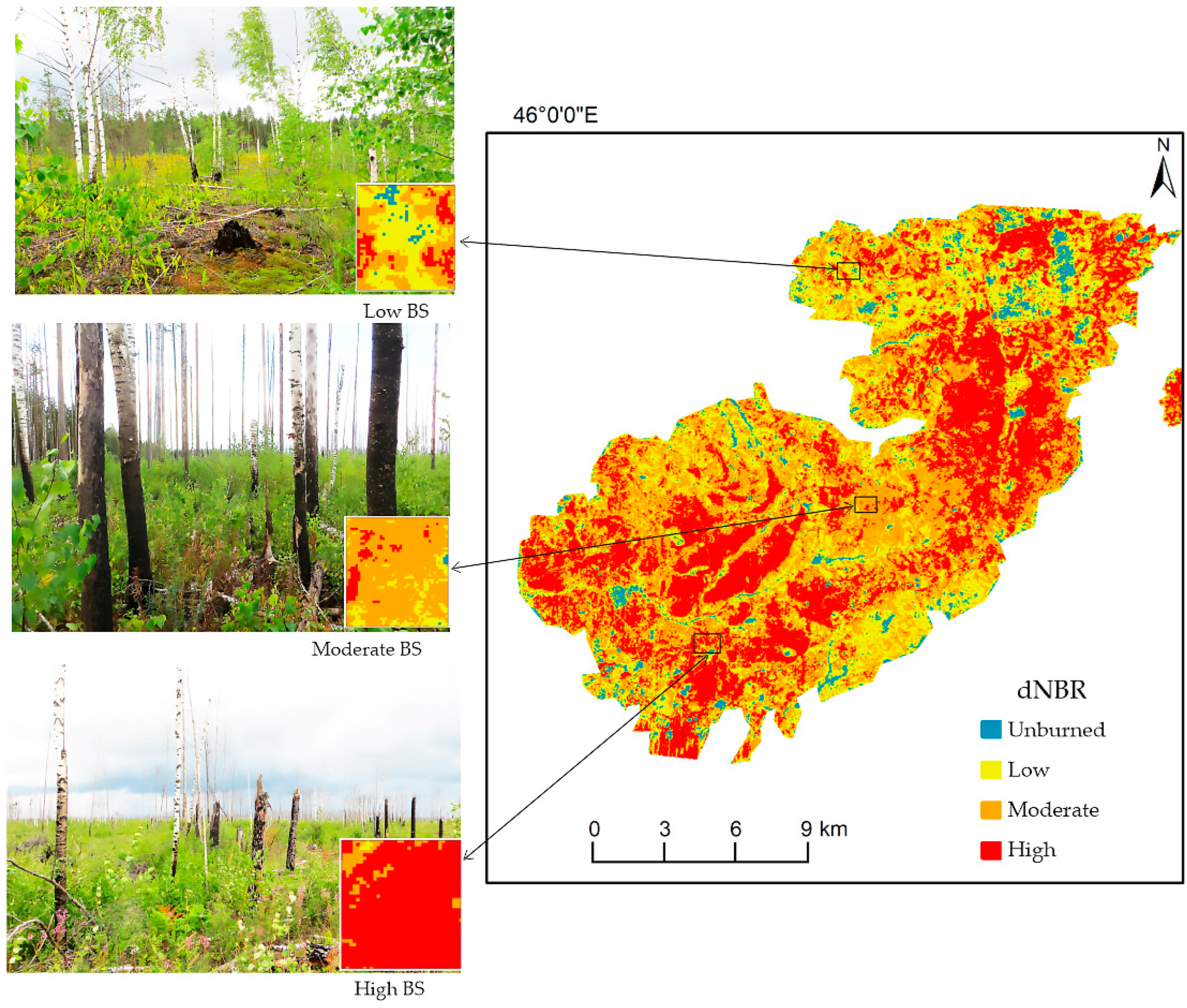 Forests 15 01919 g004 Forests 15 01919 g004