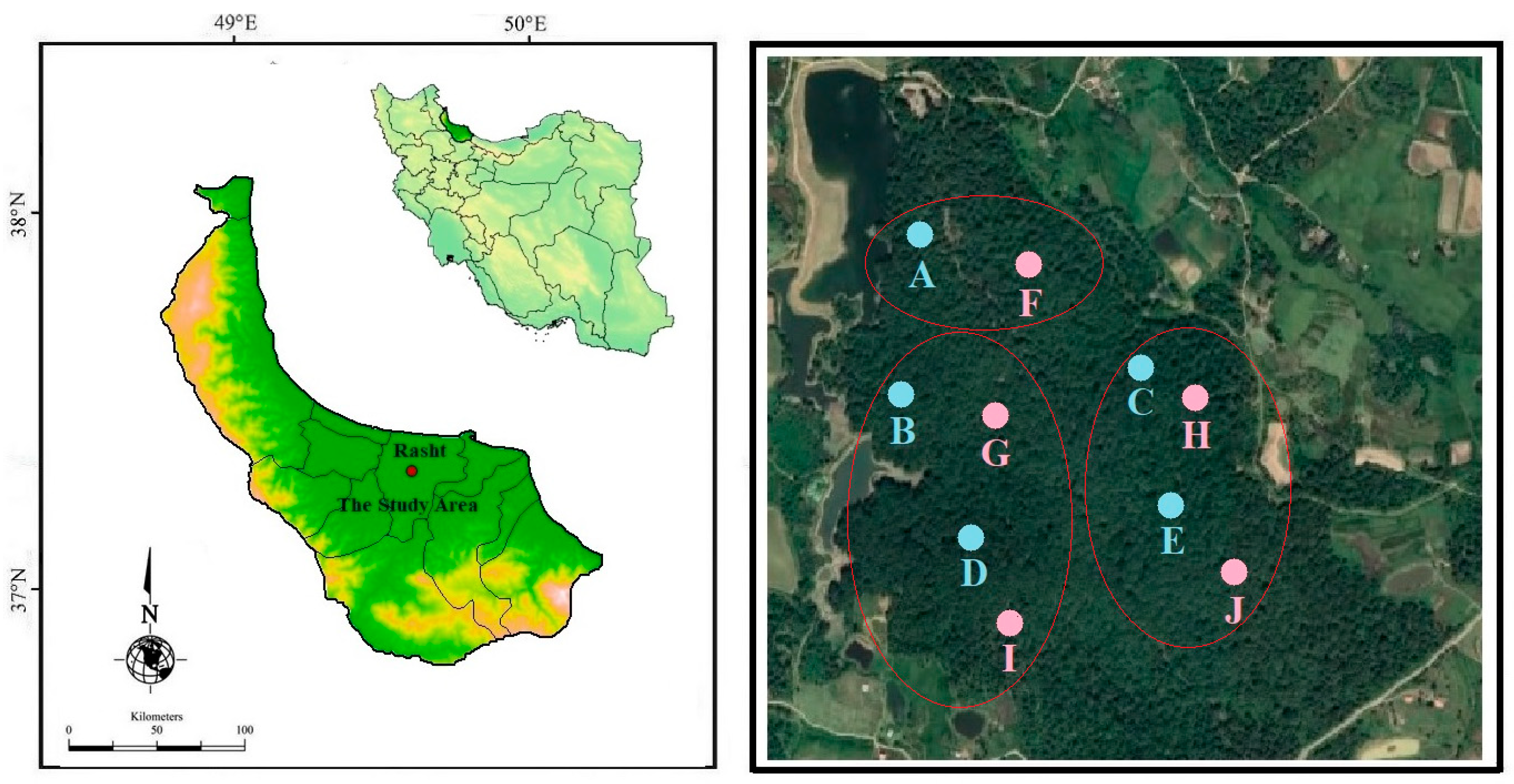 Forests 15 01926 g001