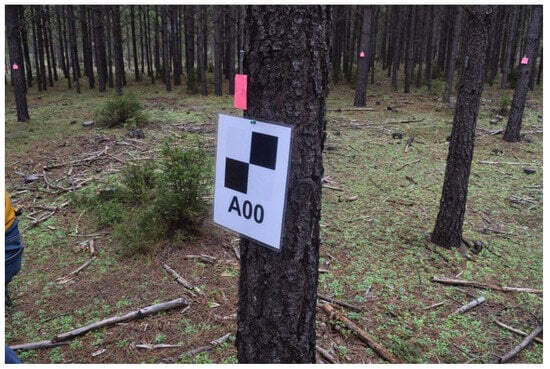 Forests 15 01964 g0a2