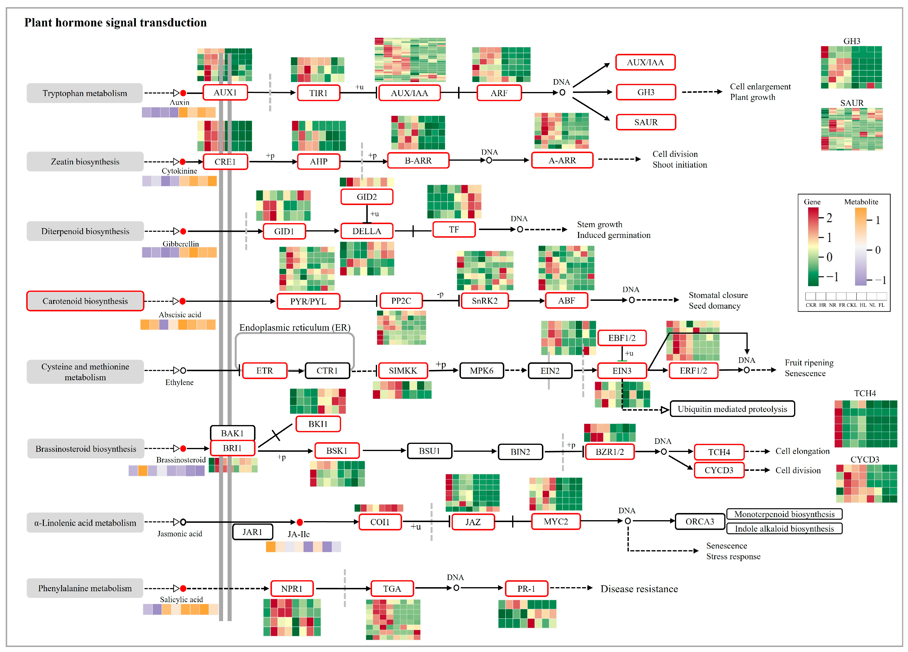 Forests 15 01967 g004
