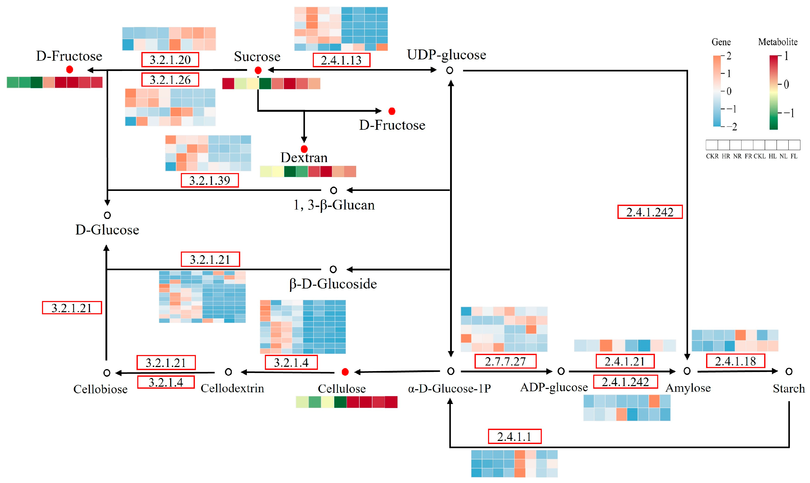 Forests 15 01967 g005
