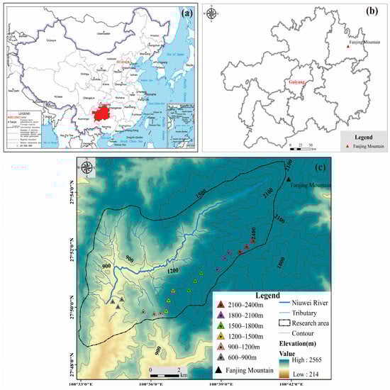 Forests 15 01980 g001