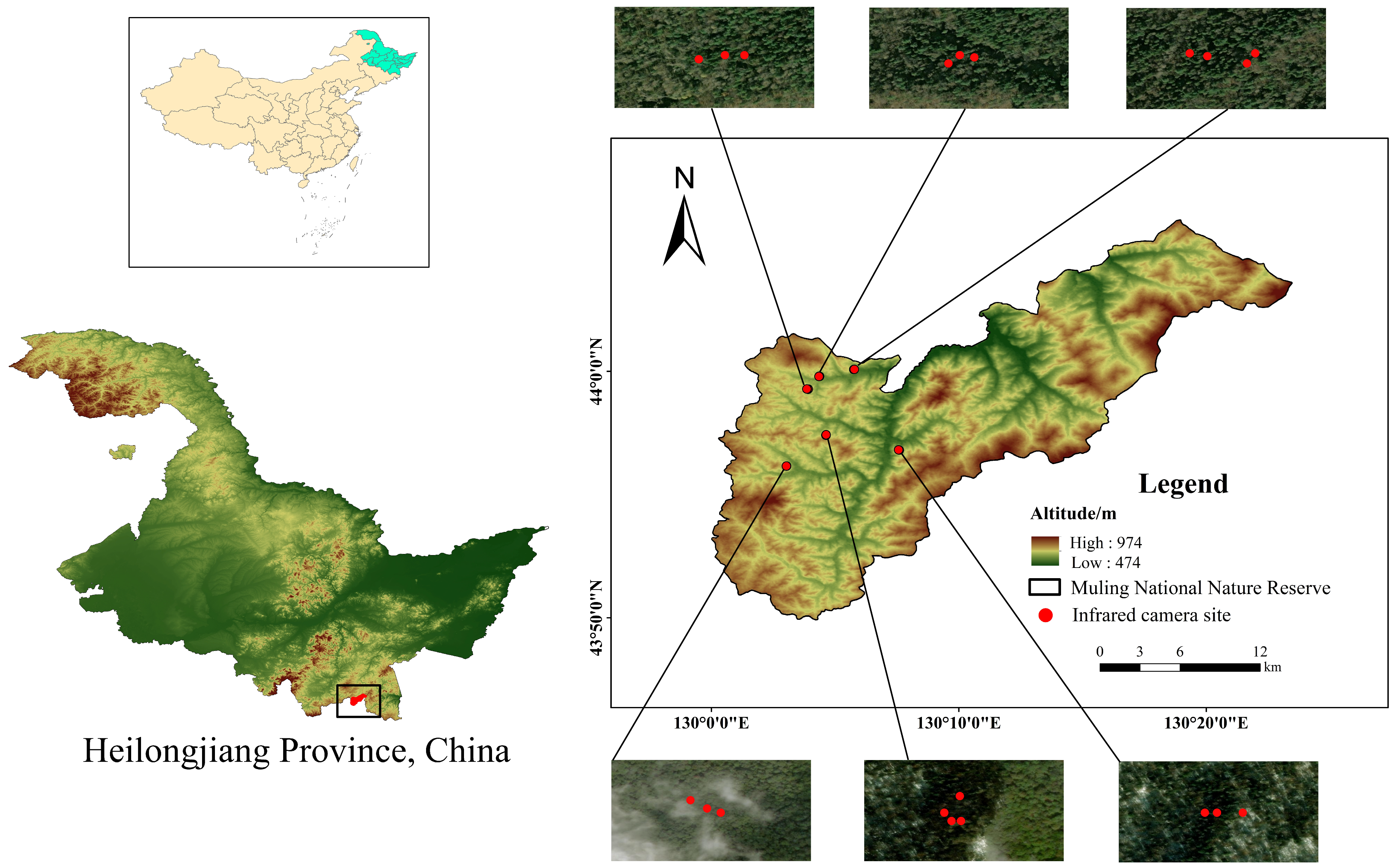 Forests 15 01983 g001