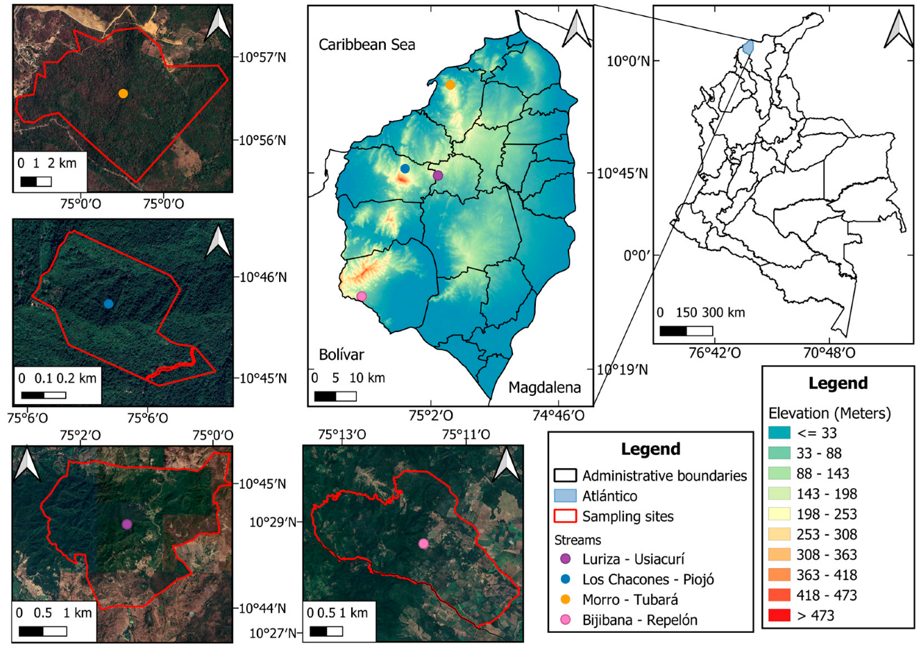 Forests 15 02000 g001 Forests 15 02000 g001