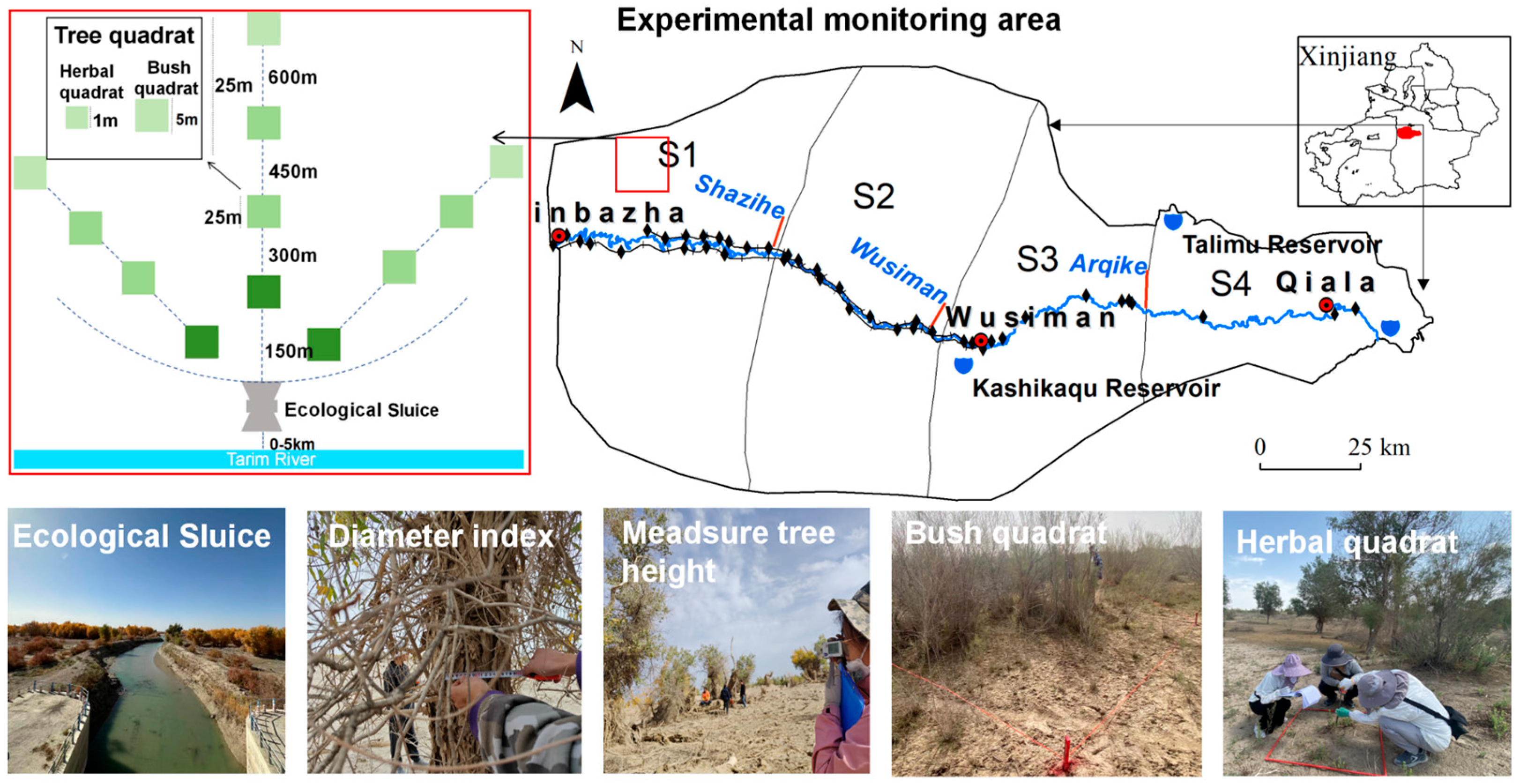 Forests 15 02005 g002