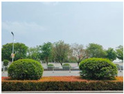 Forests 15 02008 i002