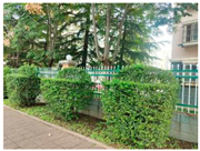 Forests 15 02008 i003