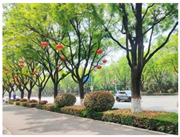 Forests 15 02008 i005