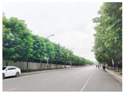 Forests 15 02008 i007