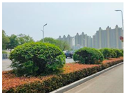 Forests 15 02008 i014