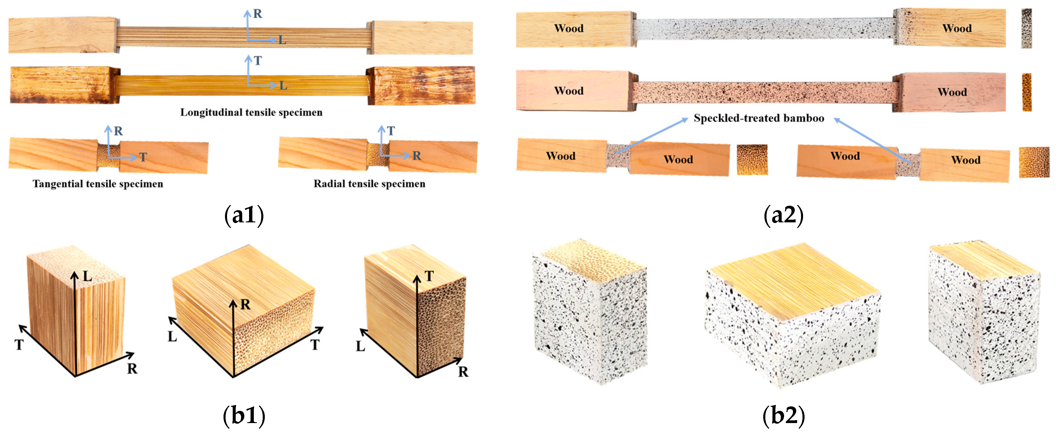 Forests 15 02017 g002a