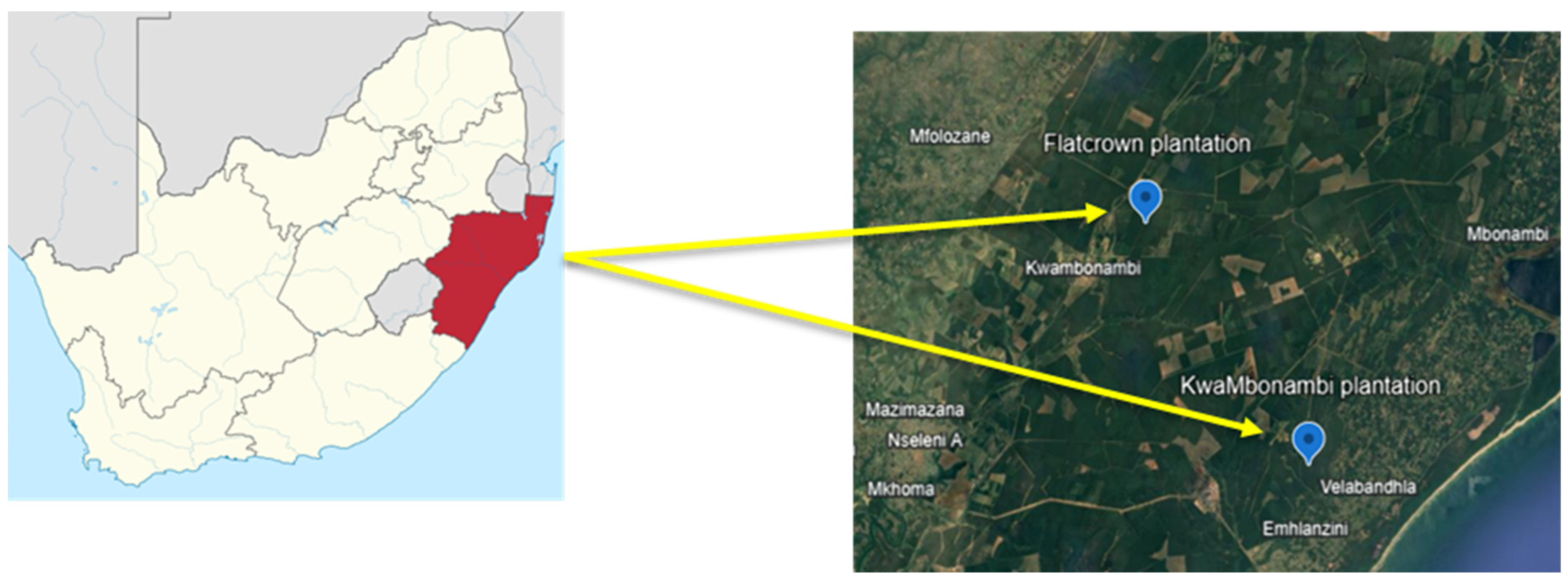 Forests 15 02045 g002