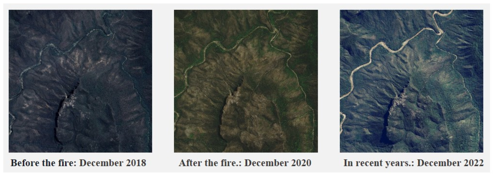 Forests 15 02050 g002