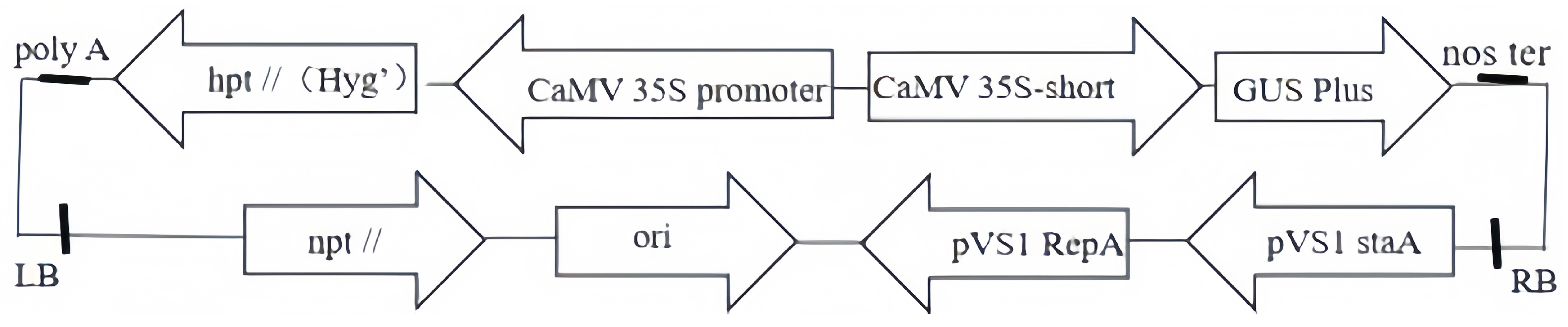 Forests 15 02058 g001