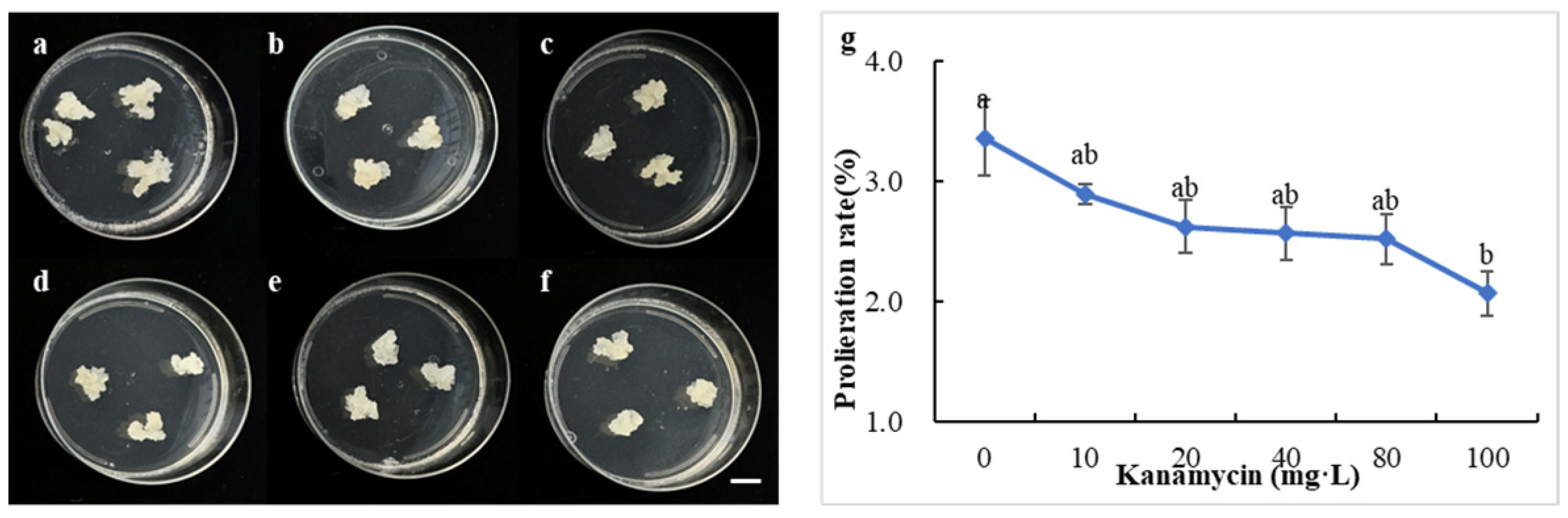 Forests 15 02058 g003