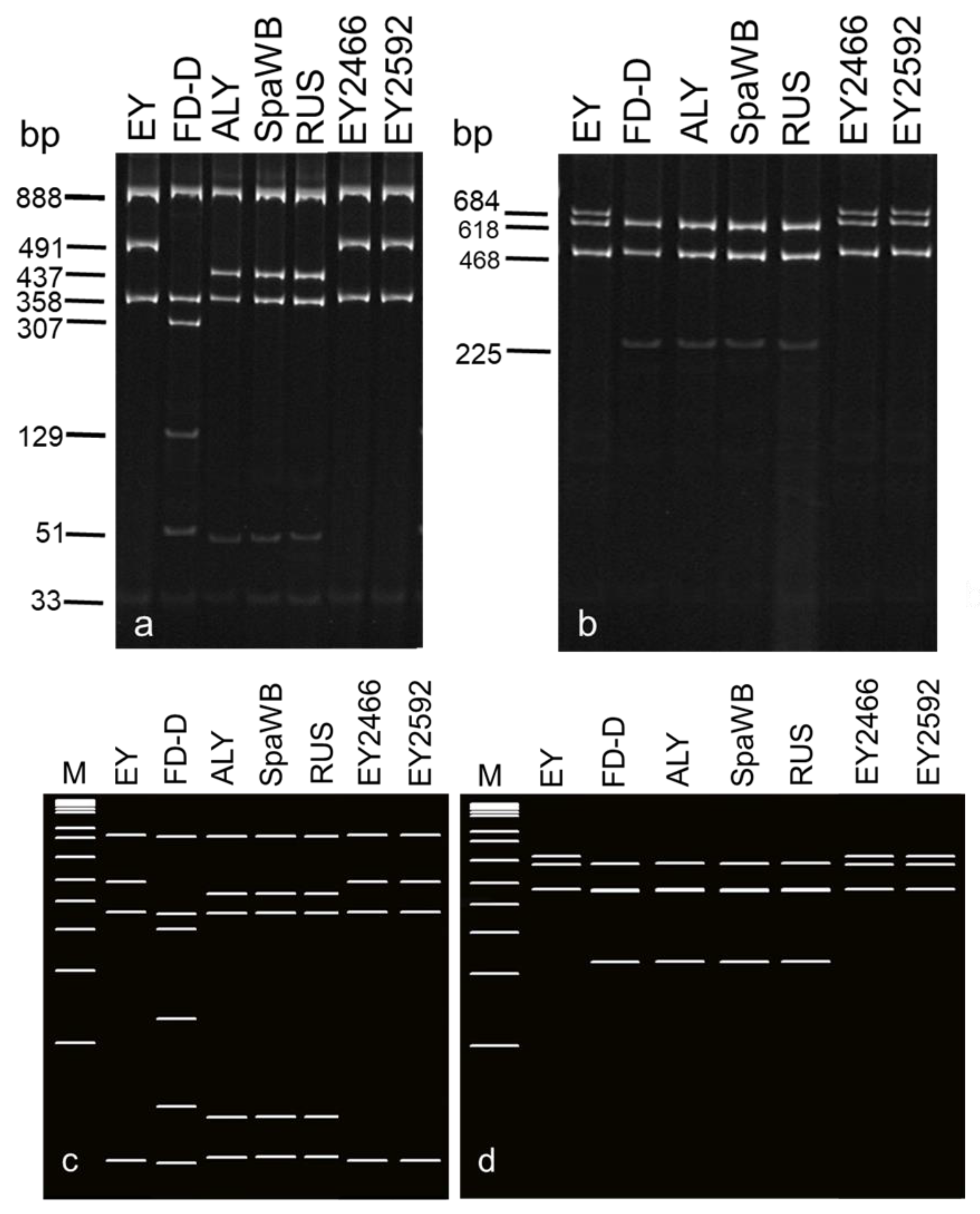 Forests 15 02067 g004 Forests 15 02067 g004